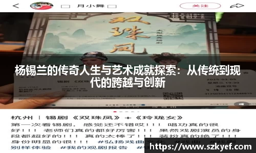 杨锡兰的传奇人生与艺术成就探索：从传统到现代的跨越与创新